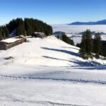 Berghütten und Alpen in Nesselwang - Berghütten im Allgäu