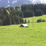 Berghütten und Alpen in Seeg